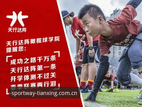 天行体育入口使用指南：解决登录不了最新版问题的完整方案