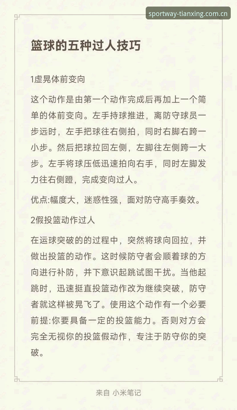 天行体育入口实用技巧：从新手到达人的五大必备知识